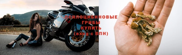 соль ск Кодинск