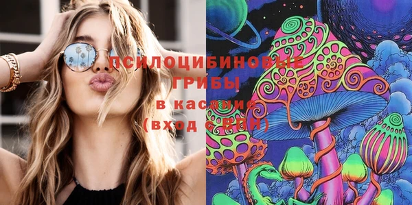 марки lsd Козельск